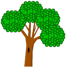 Un bosco dove ogni albero cresce per ricordare