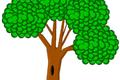 Un bosco dove ogni albero cresce per ricordare